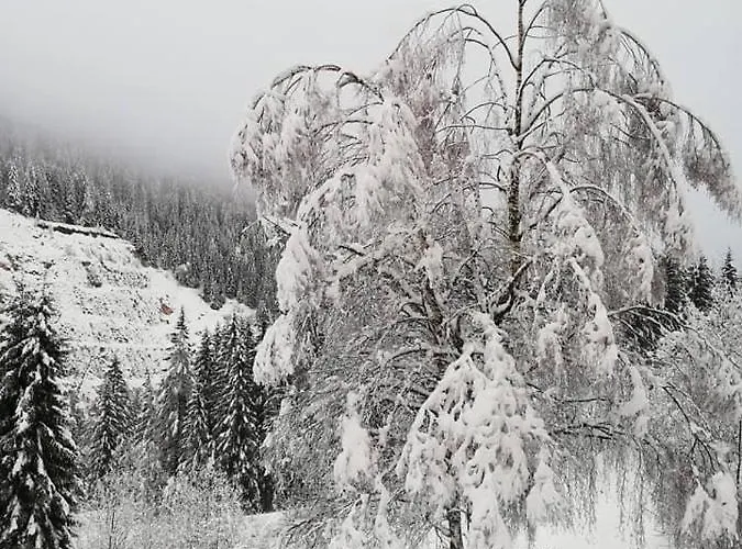 Апартаменти Haus Julia